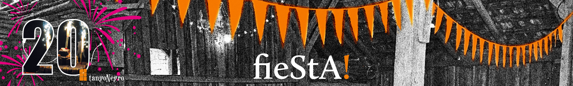 tn-banner-fiesta_2000x300